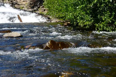 DSC_9921 (Large).JPG